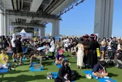 韓國發呆比賽重回漢江 疫情下找回心靈平靜