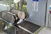想錢想瘋了？上海男將「紅包碼」偷貼地鐵場所碼上被拘