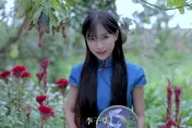 很會賺！網紅李子柒停更一年多　Youtube月收益仍達348萬台幣