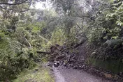 豪雨沖刷！雪霸大鹿林道東線又坍方落石　暫禁自行車進入