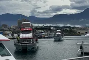 無懼海嘯警報！花蓮賞鯨船照常出海　遊客：沒感覺浪大