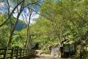 楊柳風災重創林保署加快搶修　台東麻荖漏步道開放了