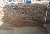 「全糖市」連道路也是甜的　南鐵地下化出土遺構「滿地糖碎」