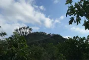 4隻黑鳶命喪大型鳥網　基隆警破「暗黑集團」逮2嫌