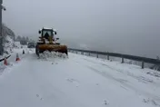 賞雪注意！合歡山降雪　台14甲線部分路段16時預警封閉