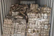 市價逾5億！運毒集團走私近400公斤大麻　越南籍3嫌遭起訴