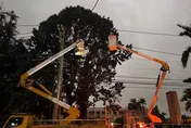 薔琵颱風重創電網　全台約15萬戶停電！台電：集中在台南、高雄