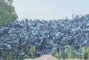 共享單車停放監管難！陸媒驚爆：過度治理違停　出現「日進萬元」扣車產業鏈