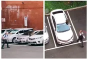 教授「無雙呂布上身」戰潑猴！舉掃把旋風式驅離…專家搖頭：一個動作讓牠抓狂