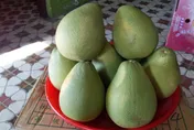 全身都是寶！農糧署揭「柚子皮」4大功用　烤肉有它輕鬆無負擔