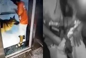 下樓遭狼犬「突襲弟弟」！外送員龍柱見血「慘成番茄炒蛋」　手抓褲檔痛到凍未條