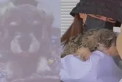 愛犬走了太難過！正妹心裡放不下…狠砸112萬「重新複製」　1年後重回懷抱哭了