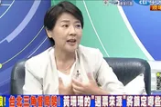 蔡壁如論文抄襲影響選情？黃珊珊：不會和林智堅一樣