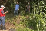 沒回弟弟訊息！桃園六旬婦登山失聯　跌傷昏迷2日奇蹟獲救
