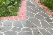 大地震前兆？新北知名公園驚見「馬陸狂竄爬滿地」　密集蠕動畫面曝光…網怕爆