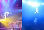 馬戲團恐怖意外！女演員升空一半手滑　下秒「直墜4.8m高」掉地…觀眾嚇壞尖叫