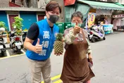 高揚凱為危老建築請命　住宅議員有具體做法