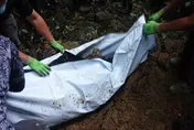東卯山台灣黑熊誤入陷阱…慘遭殺害掩埋　凶嫌冷血對話曝光