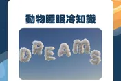 【毛球冷知識】什麼？人真的跟豬一樣會睡！動物睡眠大解密