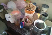 有心理準備再進來！懶房客租2年整間房變垃圾場　恐怖照片噁到頭皮發麻