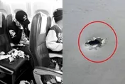飛機降落前開轟！地面槍手「穿破機身→半空濺血」　他側臉中彈嚇傻