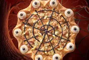 必勝客新推出嚇人「眼珠披薩」！　逼真外觀+蒜頭雞口味…網友直呼太搞怪