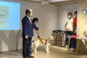 陳時中「最新人設」又走鐘？游淑慧傻眼問：操盤者真的是二代實習生+焦糖？