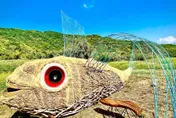 國慶連假遊花蓮！「等待飛魚」巨型裝置藝術等你來打卡