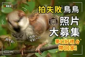 「野鳥爆笑NG照」曝光！林務局徵「失敗鳥照片」　夢幻好禮大放送