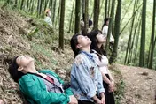 紓壓登場！雲林草嶺石壁森林療癒祭　10/14起連辦3天