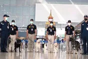 榴槤乾內藏海洛英！準備運往台灣…在機場遭泰國官方攔截