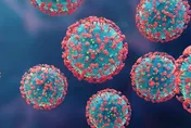 Omicron瘋狂突變擋不住！恐有免疫逃脫出現「抗藥性」　2類人當心重複染疫