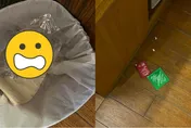 避孕的12種NG辦法　男生事前站在微波爐前殺精？　醫嘆：佛系避孕等著驗孕吧