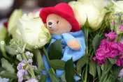 哀悼英女王各地民眾送上千隻柏靈頓熊　白金漢宮將愛心轉送慈善機構