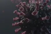 Omicron亞型變異株來勢洶洶　感染科名醫：這招能降低風險