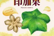 來自星星的Omega-3！印加果油可做醬料　抗發炎、提升免疫力！