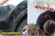 影/愛車被刮！車主爆氣抓兇手「自信逮人」宣告：他逃不掉～見兇手秒臉綠