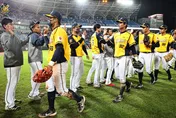中職季後賽將開打　中捷「推活動」邀球迷應援中信兄弟