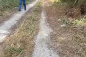 右胸穿刺傷「手腳前端剩白骨」！台南防風林狗啃屍案　開槍惡嫌自首遭聲押