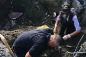 彰化某國中籃球場整建工程挖出白骨　將送鑑識確認身分
