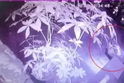 影/看一眼就出事！莽男怒譙5字經爆推女子倒地…下場慘了