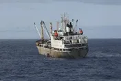大陸漁船大肆捕撈魷魚　在南美公海與美快艇僵持