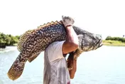 「這種魚」不僅是減重聖品　更是在疫期期間可增加免疫力的食物！