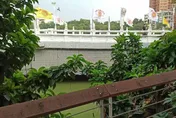 快訊/高雄金獅湖「驚見女浮屍」！ 身分不明調查中