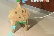 封控奇觀！陸大學生養「紙盒狗」解悶　穿搭、掛名牌、遛狗樣樣來