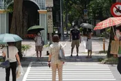 週末會更熱！今太陽露臉「高溫飆至31℃」　北台灣下週轉濕涼迎雨4天
