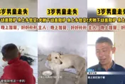 陸3歲男童失蹤！忠犬離開幼崽捨身搏鬥　引全網動容