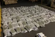 警攔截進口輪胎走私藏毒　查扣近百公斤大麻花市價1.3億