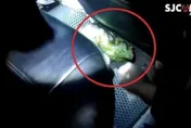 【影】男子駕車遇警盤查故作鎮定　整袋毒咖啡包放後座GG了