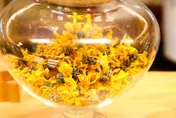 菊花茶明目養肝！中醫：依體質選「顏色」喝、以免虛寒傷身